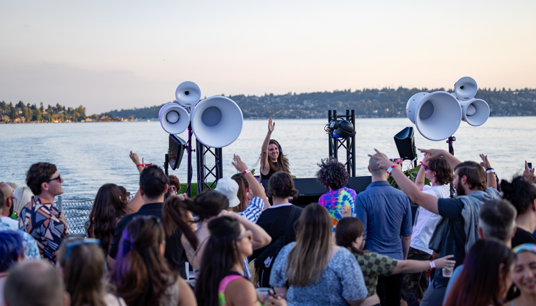 A crowd dancing to a DJ with a water backdrop